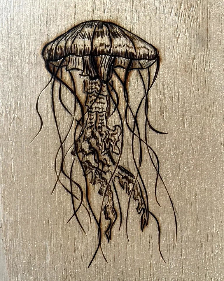 Jellyfish